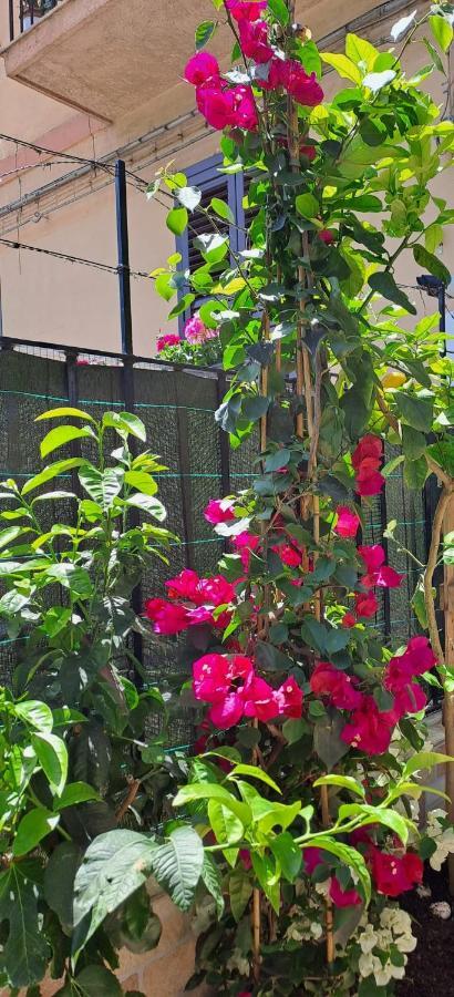 Lilibet Apartment Palermo Bagian luar foto
